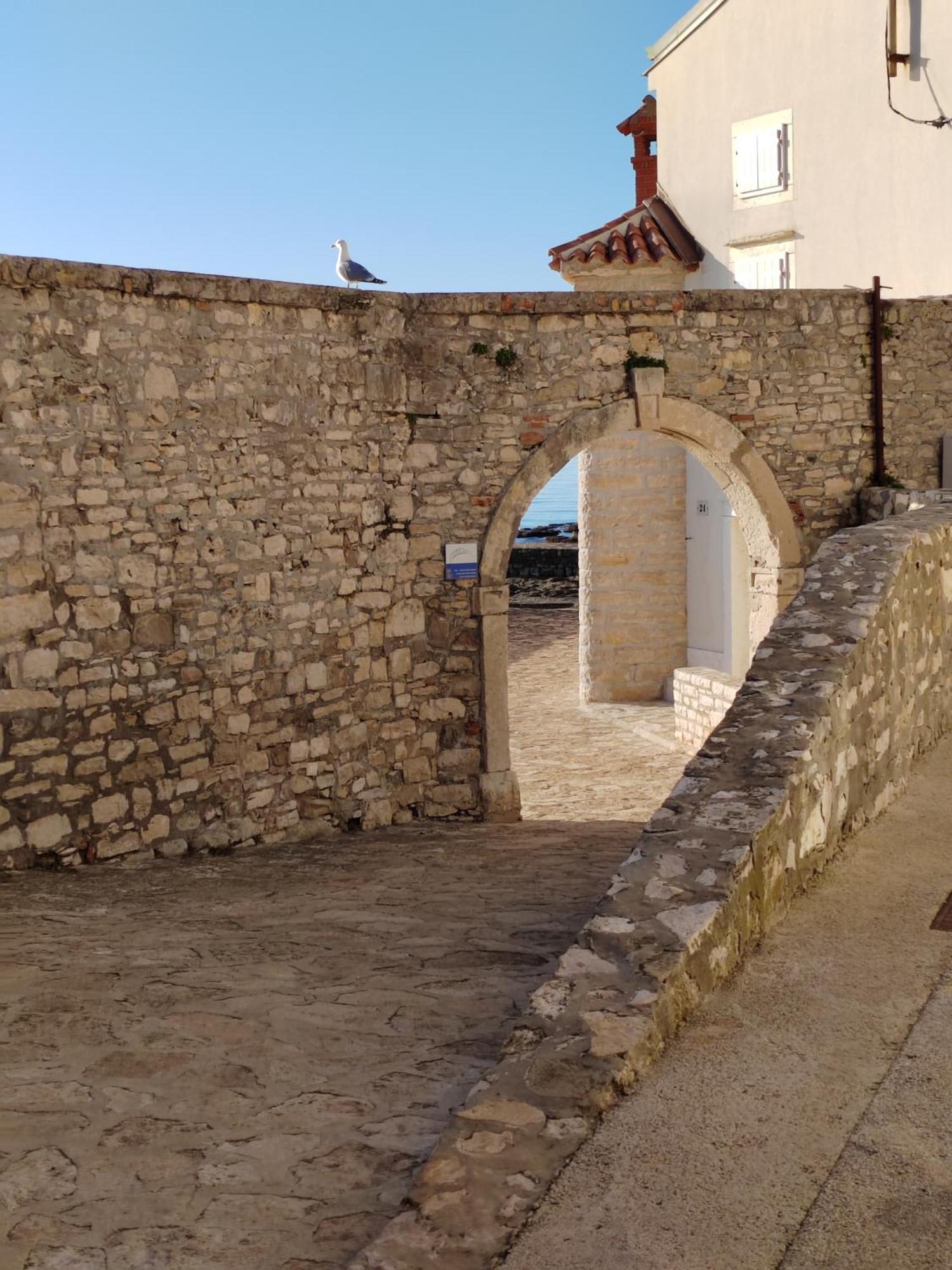 Apartment Kaplja Novigrad Istria Exterior foto